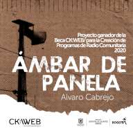 Ámbar de panela