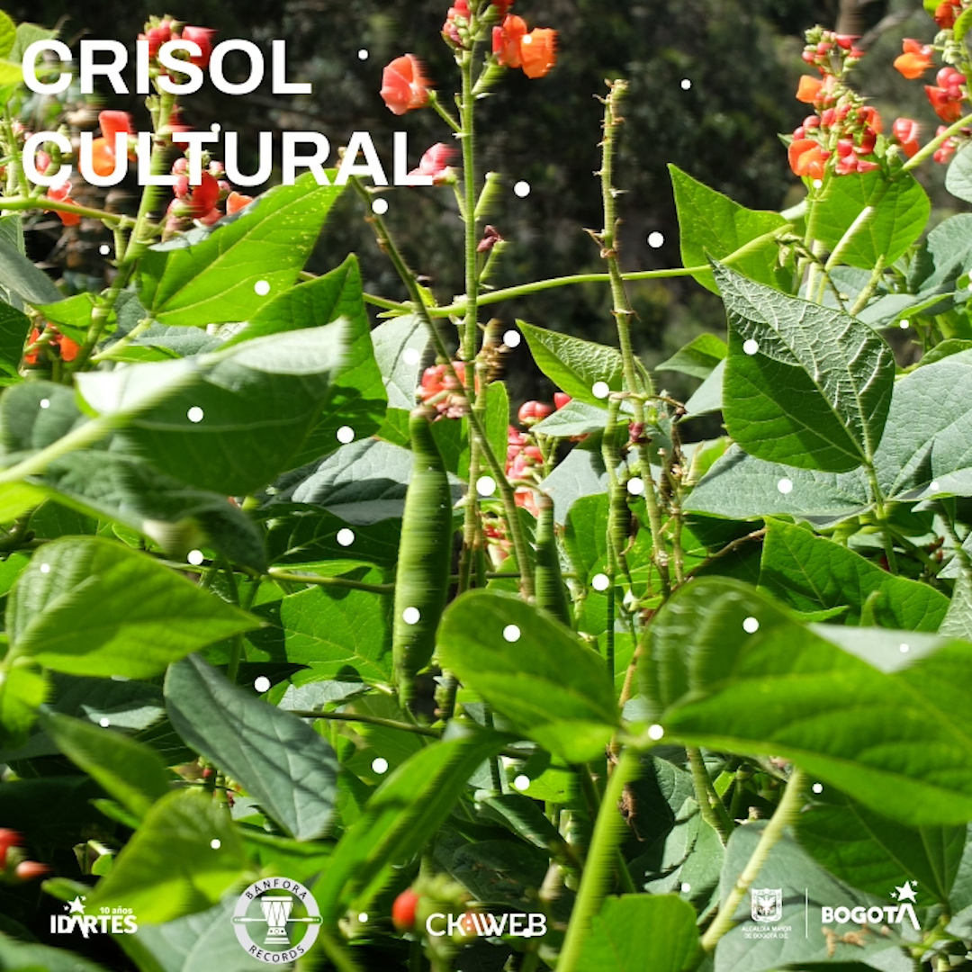 Crisol